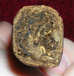 Rocky Patel Decade - 2